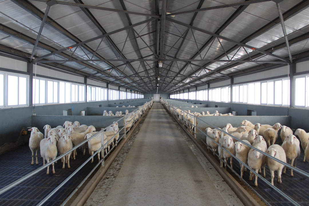 當(dāng)好產(chǎn)業(yè)扶貧主力軍，打贏脫貧攻堅(jiān)戰(zhàn)